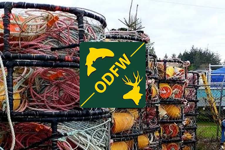 ODFW Delays Commercial Crabbing Opening Date Wild Coast Compass