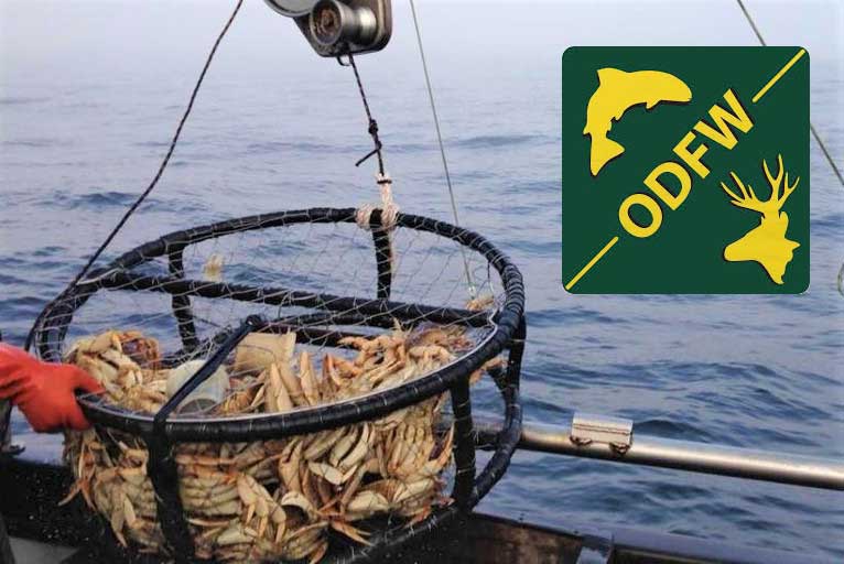 ODFW Gives Date to Open Southern Oregon Commercial Crabbing